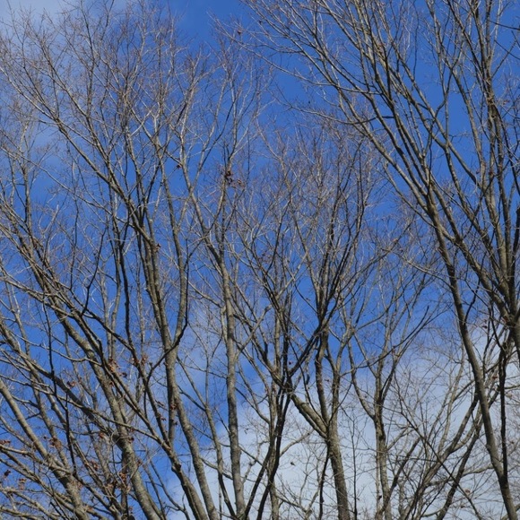 Meet your Posher, Sj - Picture 1 of 1